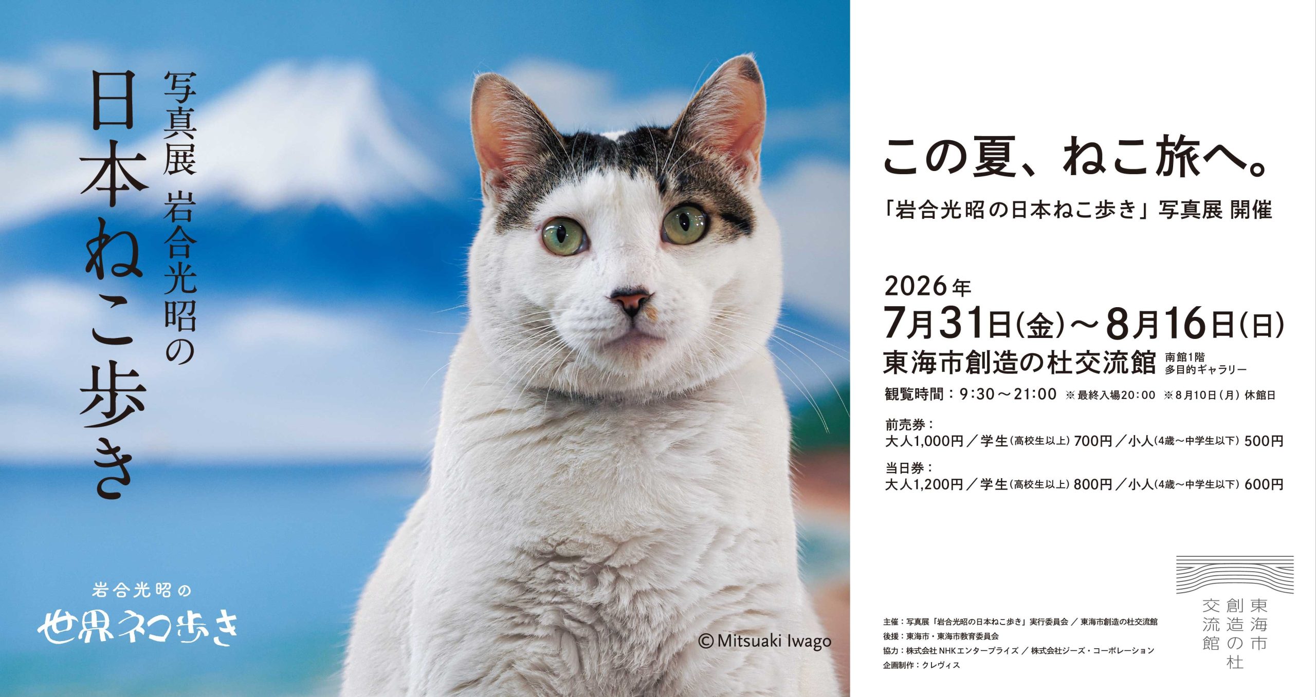 可愛い猫たちの姿に癒される、夏休み特別企画。岩合光昭氏が切り取る、日本各地の‟ねこ歩き”の世界をぜひお楽しみください。